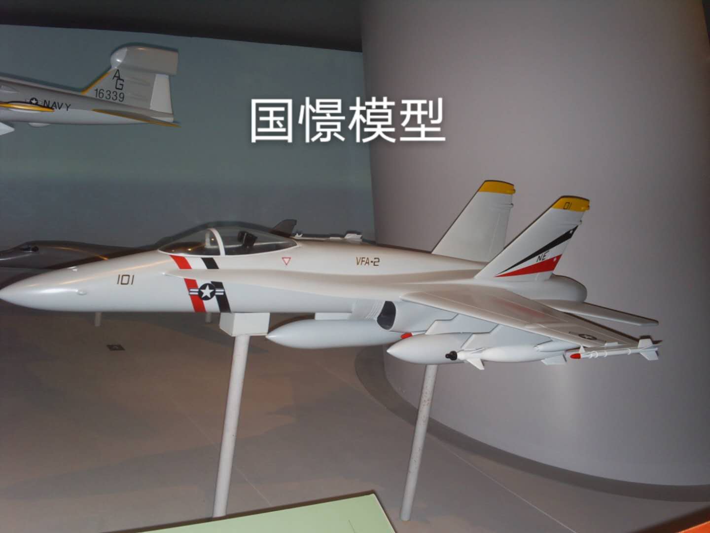 新龙县军事模型
