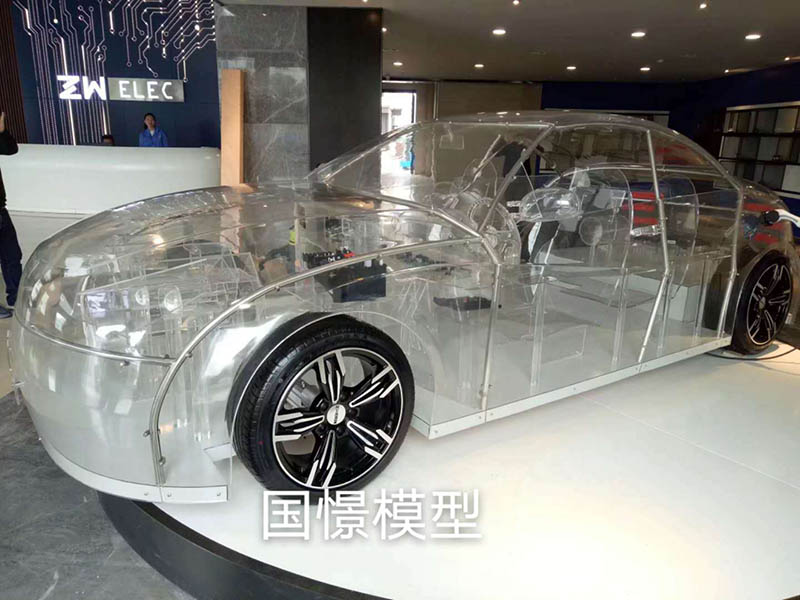 新龙县透明车模型